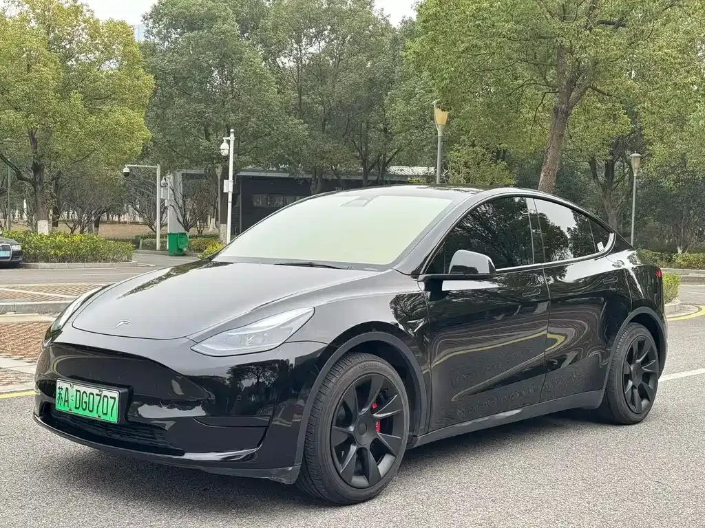 Tesla Model Y 2022 из CN, фото 1