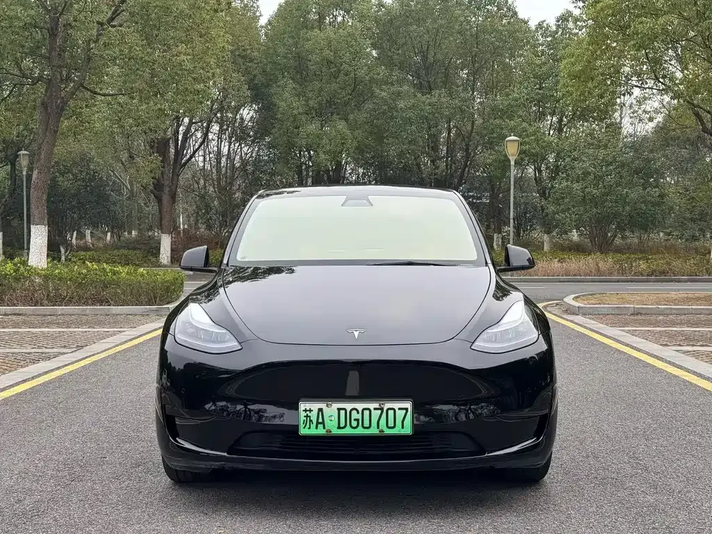 Tesla Model Y 2022 из CN, фото 9