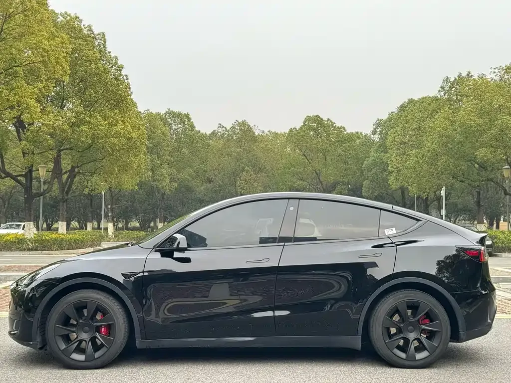 Tesla Model Y 2022 из CN, фото 6