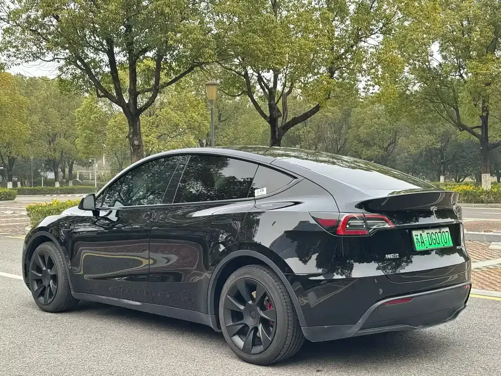 Tesla Model Y 2022 из CN, фото 8