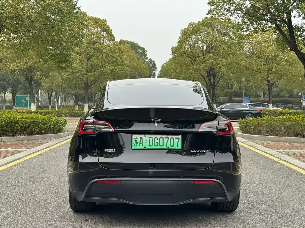 Tesla Model Y 2022 из CN, фото 7