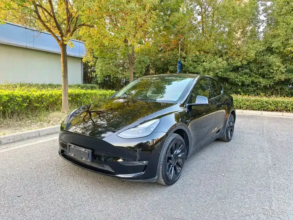 Tesla Model Y 2021 из CN, фото 1