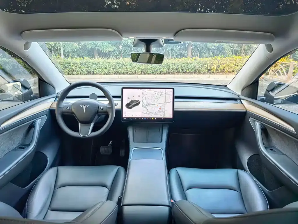 Tesla Model Y 2021 из CN, фото 10