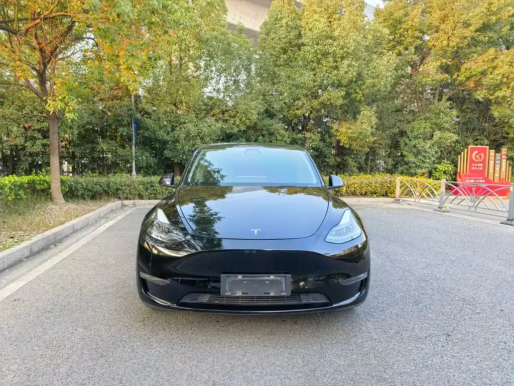 Tesla Model Y 2021 из CN, фото 2