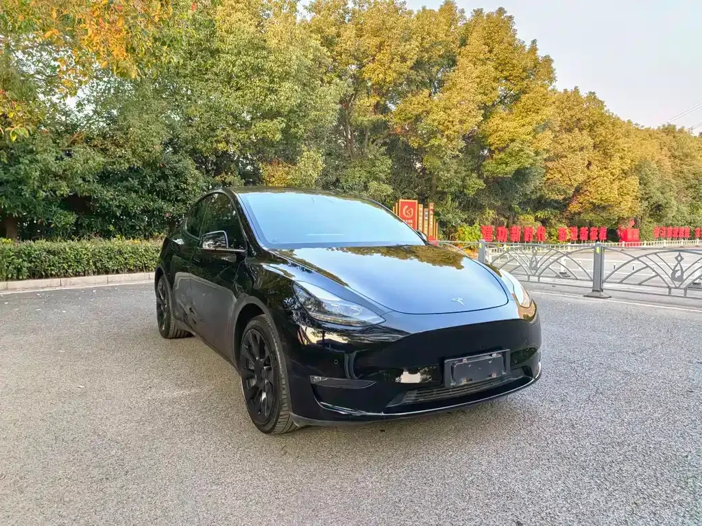 Tesla Model Y 2021 из CN, фото 3