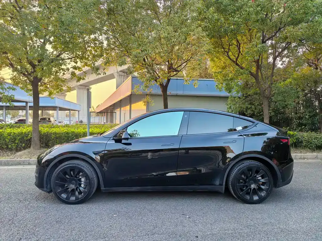 Tesla Model Y 2021 из CN, фото 4