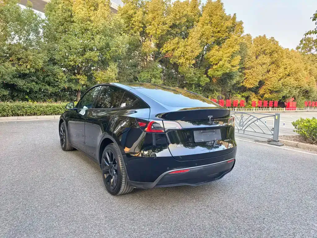 Tesla Model Y 2021 из CN, фото 5