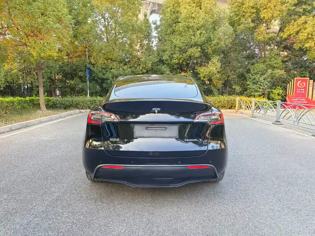 Tesla Model Y 2021 из CN, фото 6
