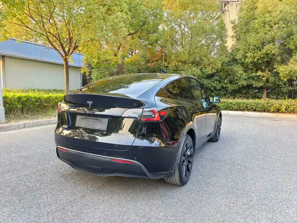 Tesla Model Y 2021 из CN, фото 7