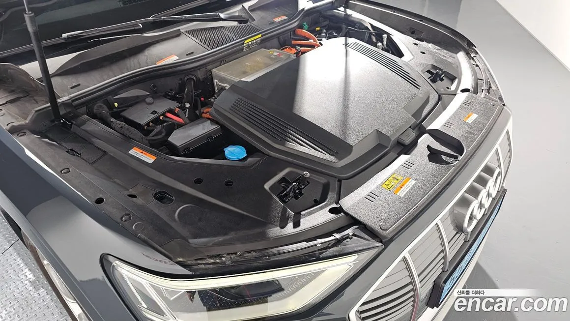 Audi e-tron 2021 из KR, фото 6