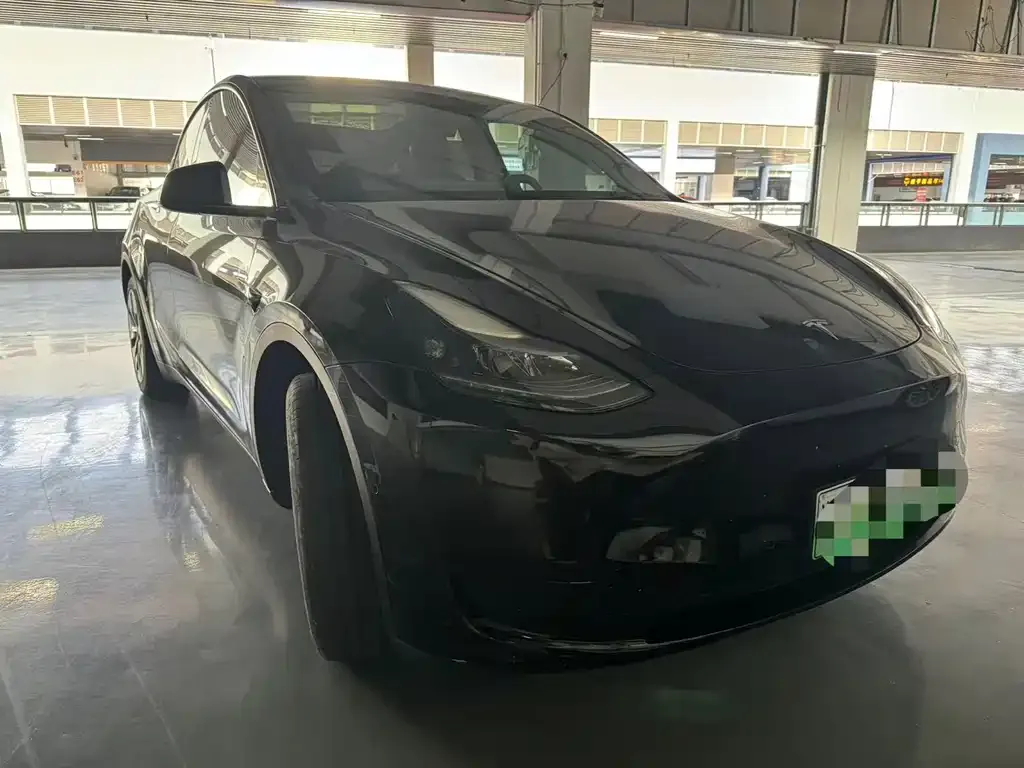 Tesla Model Y 2023 из CN, фото 2