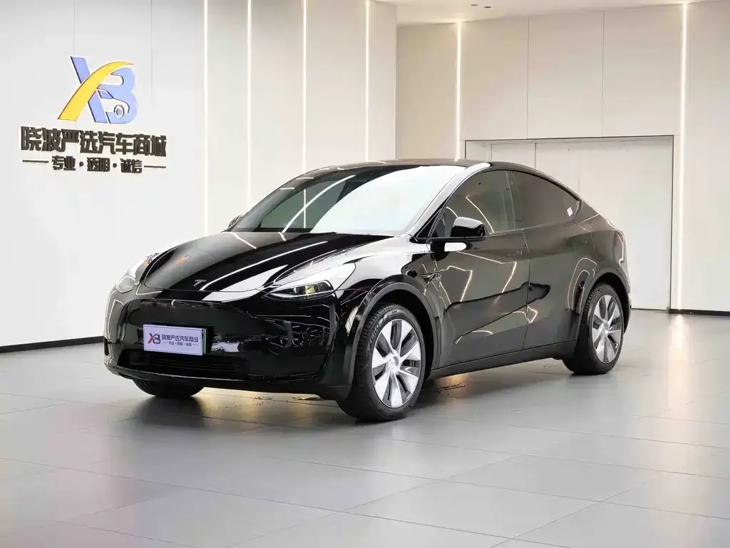 Tesla Model Y 2023 из CN, фото 1