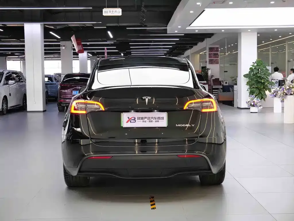 Tesla Model Y 2023 из CN, фото 4