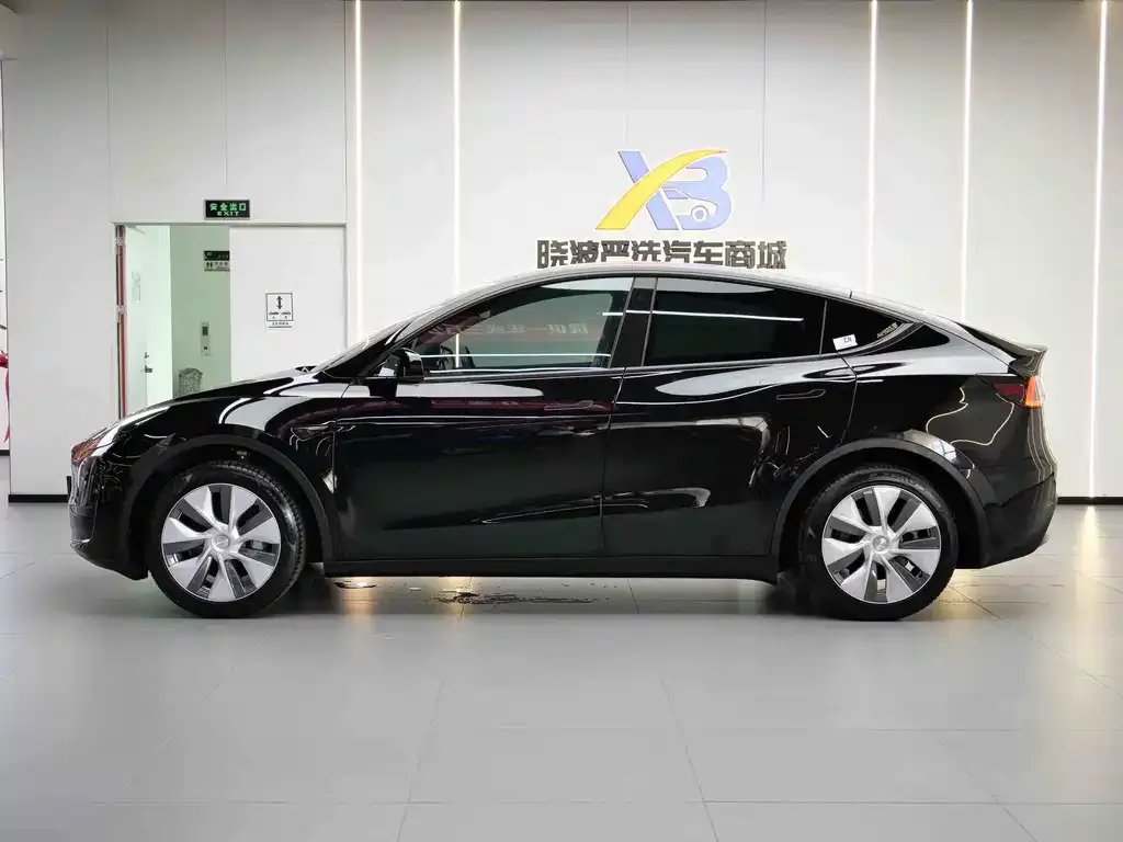 Tesla Model Y 2023 из CN, фото 6