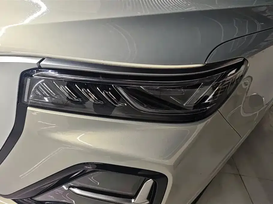 Hongqi HS5 2023 из CN, фото 10