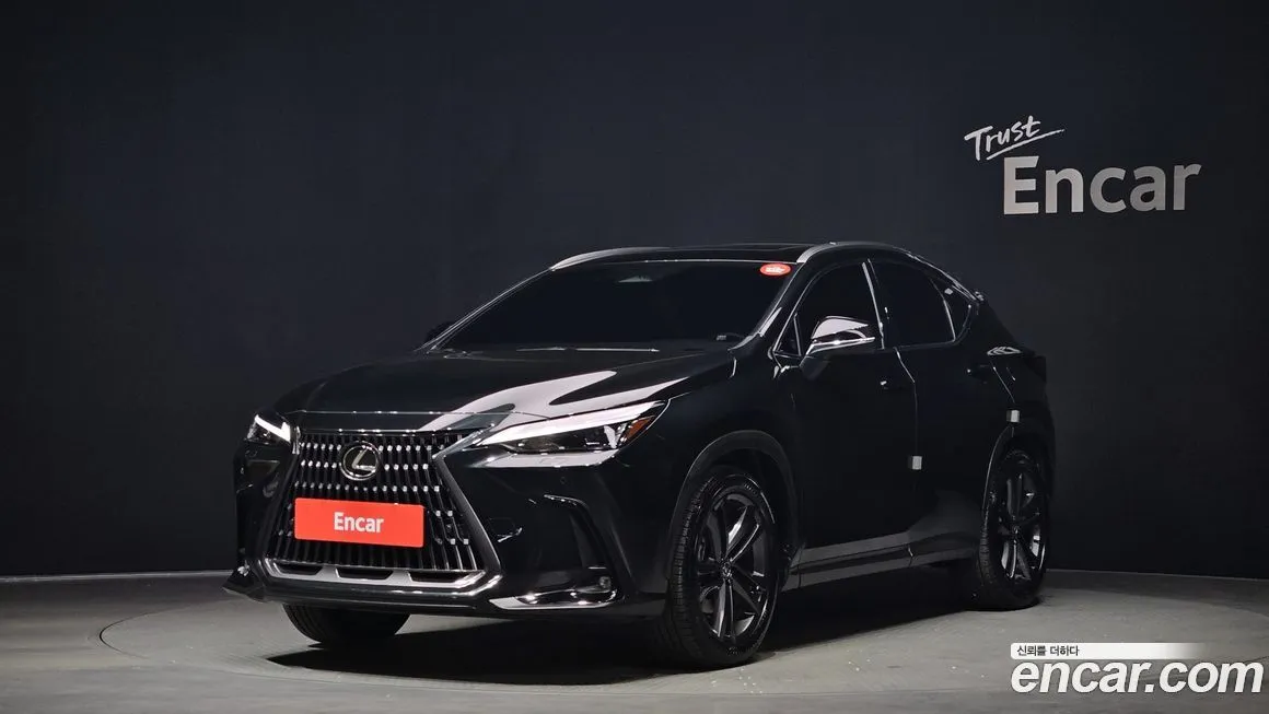 Lexus NX 2025 из KR, фото 1
