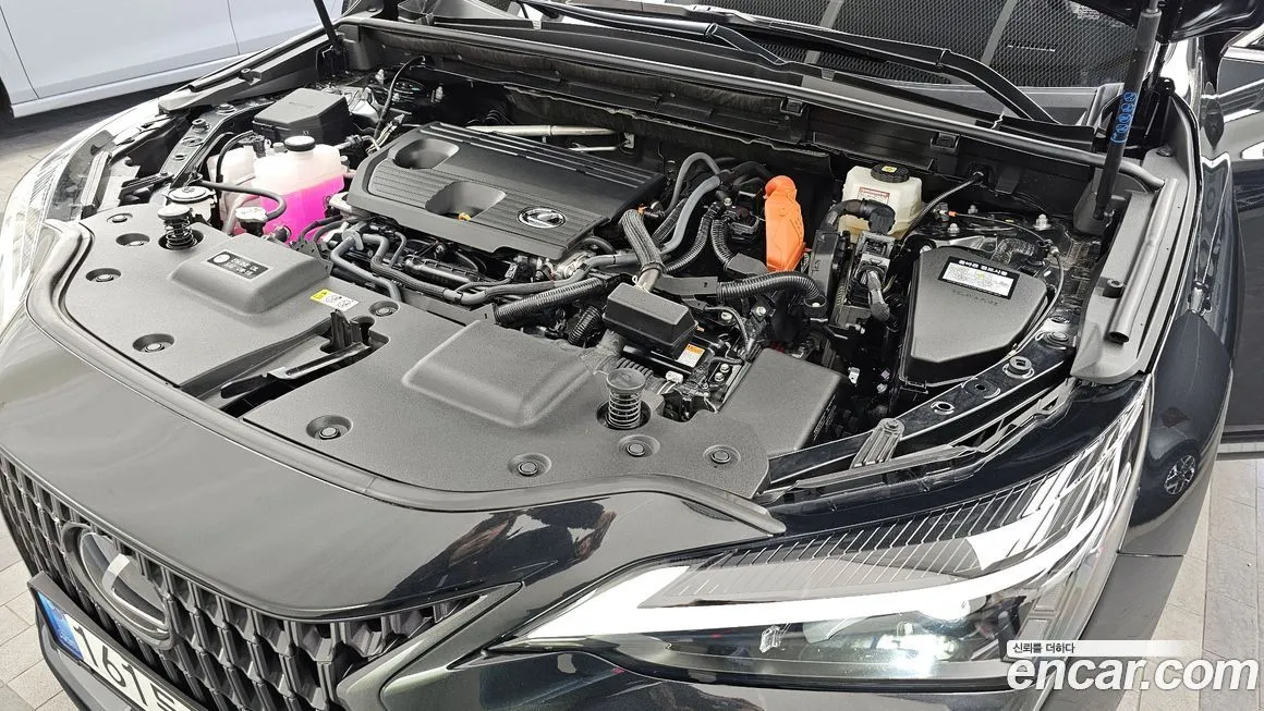 Lexus NX 2025 из KR, фото 9