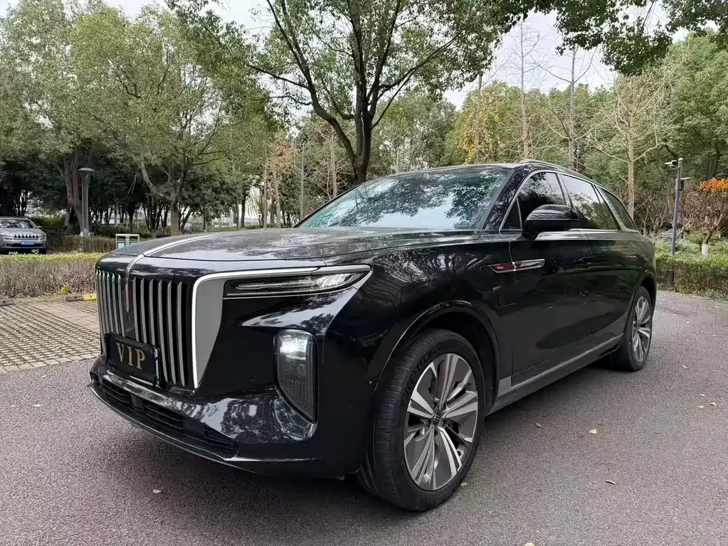 Hongqi E-HS9 2022 из CN, фото 1