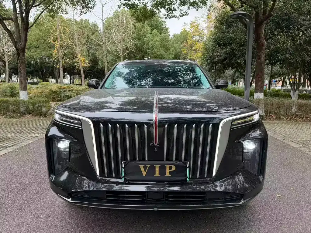 Hongqi E-HS9 2022 из CN, фото 2