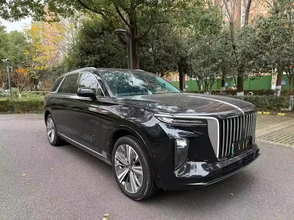 Hongqi E-HS9 2022 из CN, фото 3