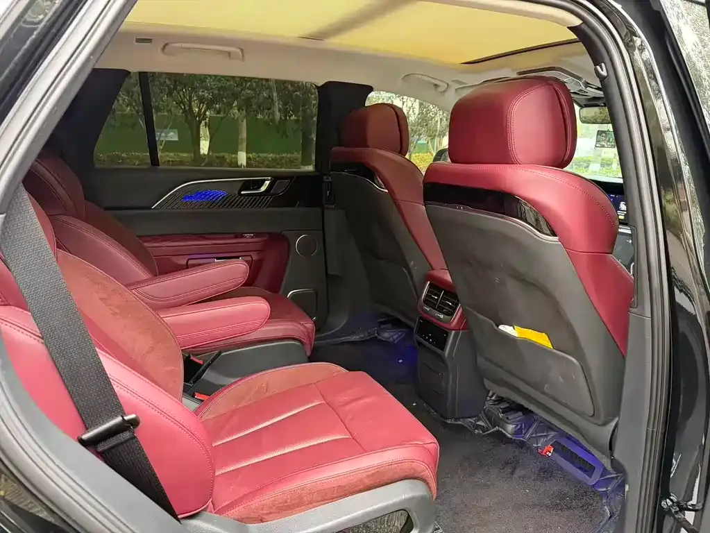 Hongqi E-HS9 2022 из CN, фото 8