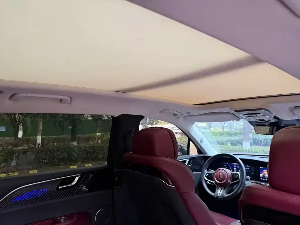 Hongqi E-HS9 2022 из CN, фото 9
