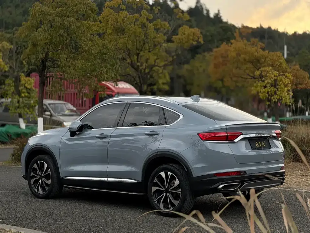 Geely Xingyue S 2021 из CN, фото 9