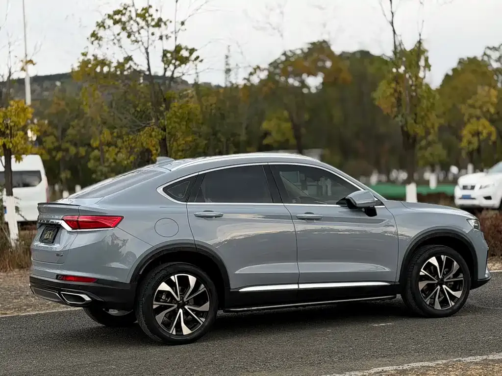 Geely Xingyue S 2021 из CN, фото 7