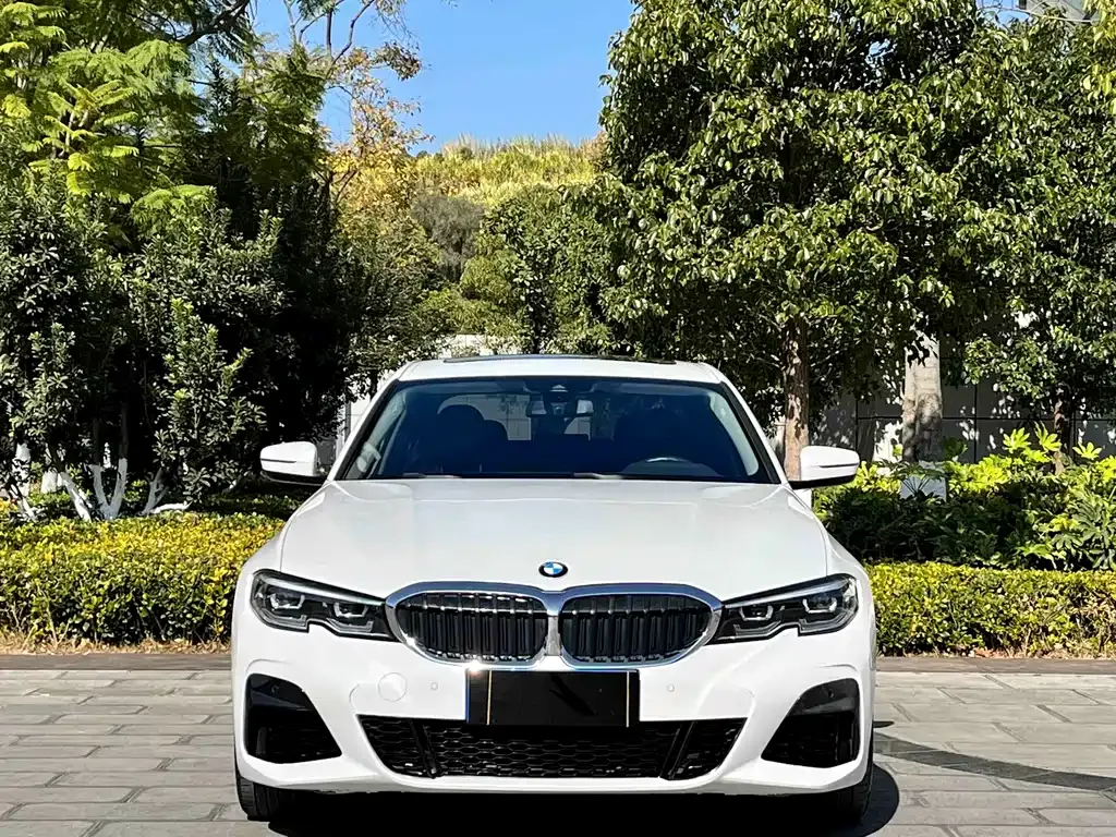 BMW 3 Series 2021 из CN, фото 2