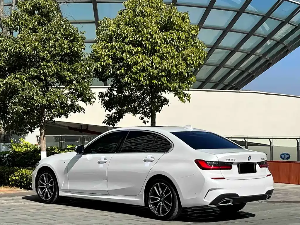 BMW 3 Series 2021 из CN, фото 7