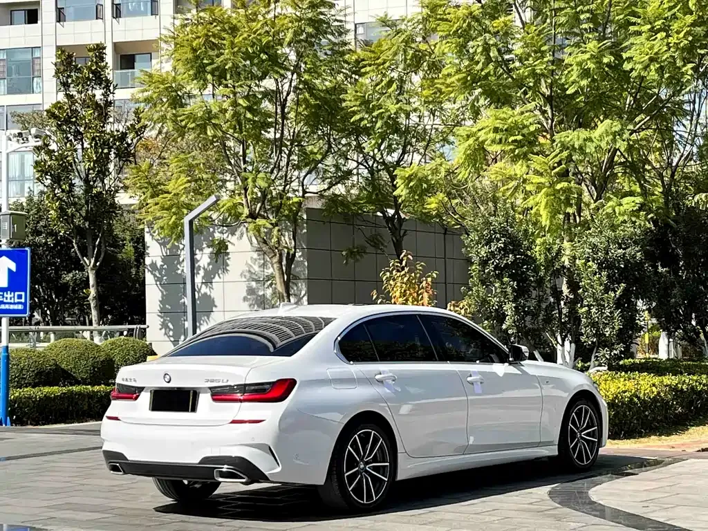 BMW 3 Series 2021 из CN, фото 8