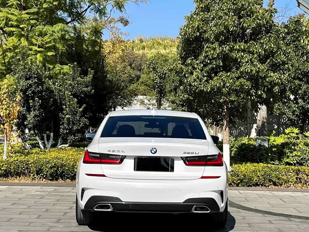 BMW 3 Series 2021 из CN, фото 9