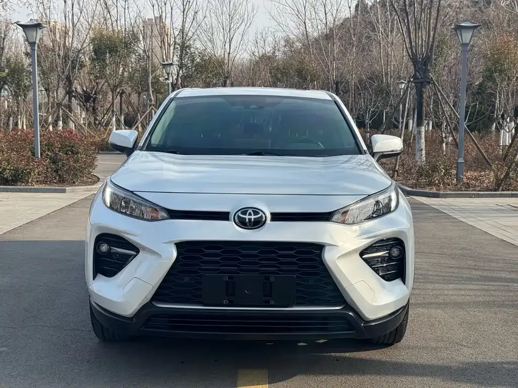 Toyota Wildlander 2021 из CN, фото 9