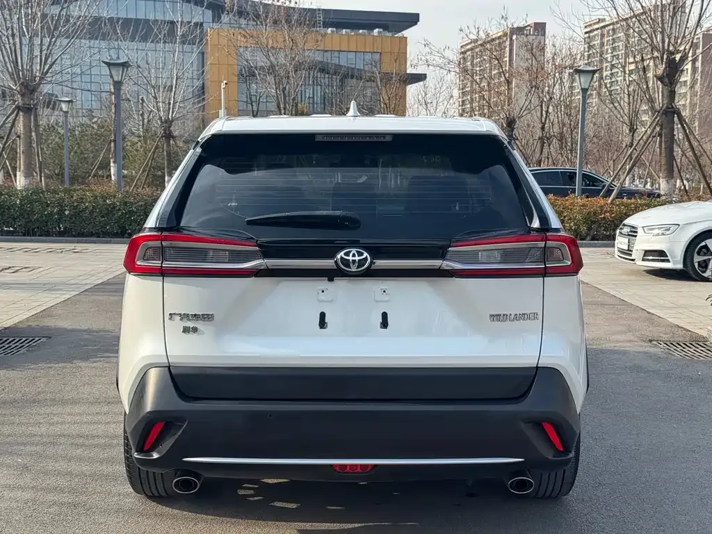 Toyota Wildlander 2021 из CN, фото 8