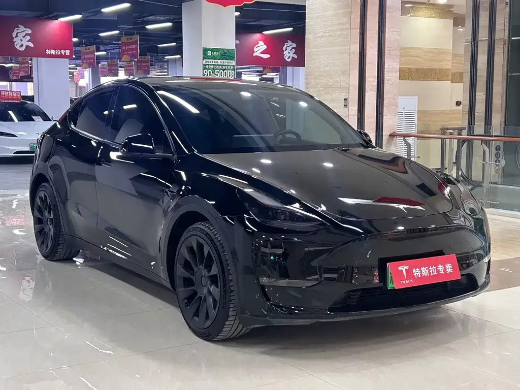 Tesla Model Y 2021 из CN, фото 8