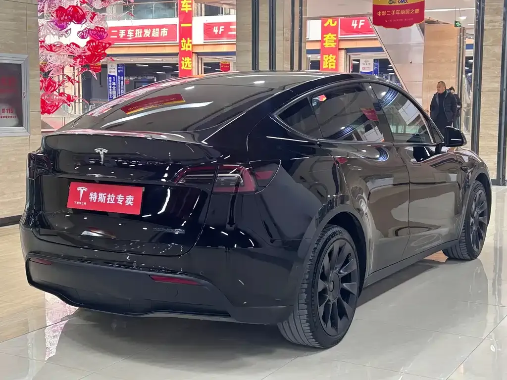 Tesla Model Y 2021 из CN, фото 9