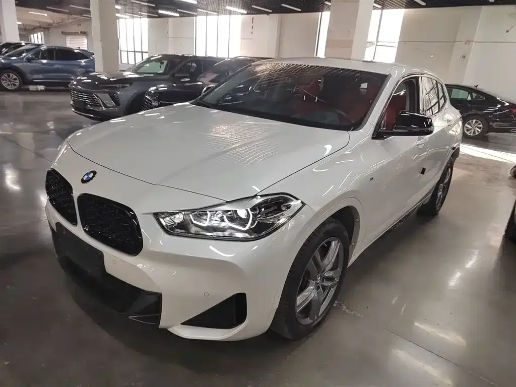 BMW X2 2023 из CN, фото 1