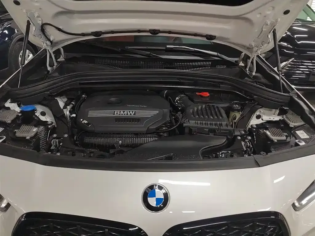 BMW X2 2023 из CN, фото 7