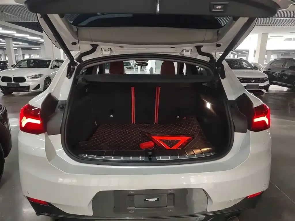 BMW X2 2023 из CN, фото 10