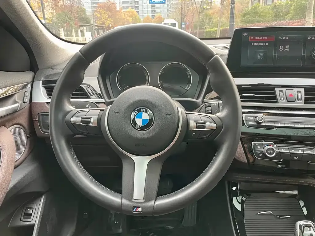BMW X2 2021 из CN, фото 10