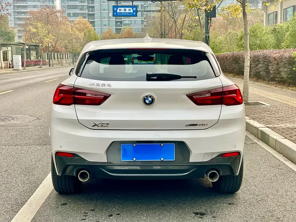 BMW X2 2021 из CN, фото 6