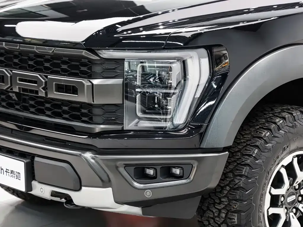 Ford F-150 Raptor 2024 из CN, фото 10