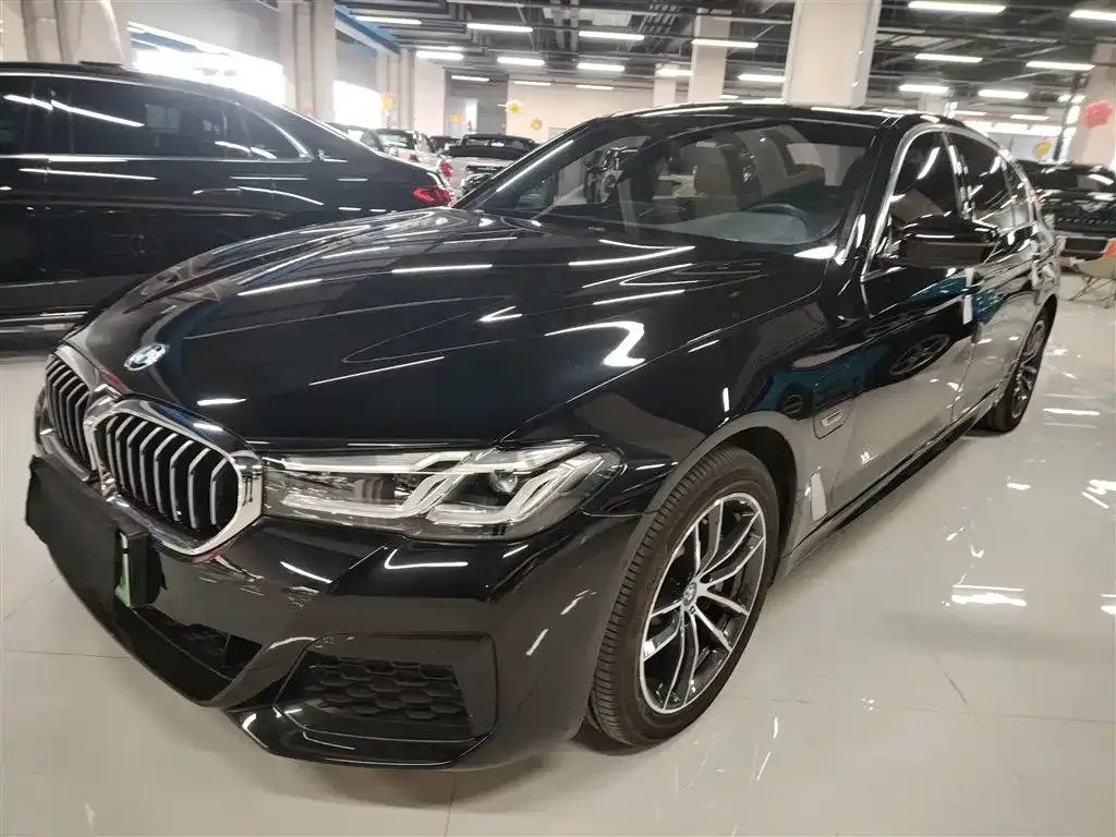 BMW 5 Series New Energy 2022 из CN, фото 4