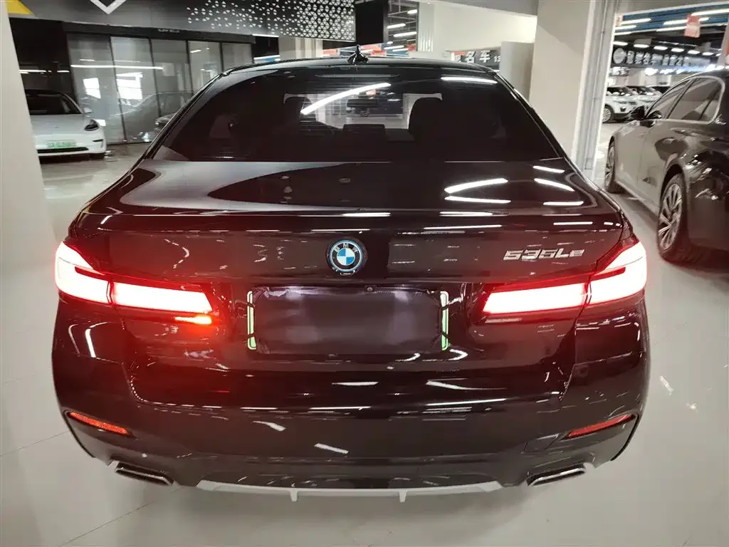 BMW 5 Series New Energy 2022 из CN, фото 8