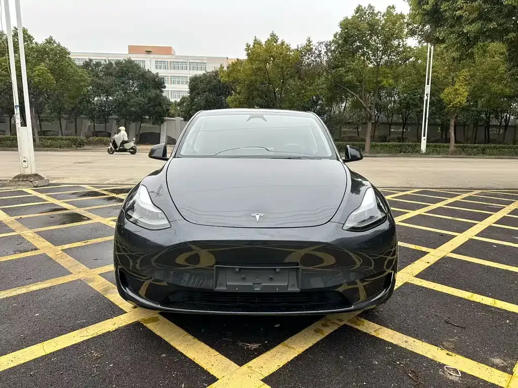 Tesla Model Y 2024 из CN, фото 1