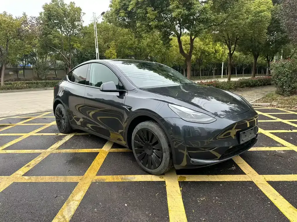 Tesla Model Y 2024 из CN, фото 9