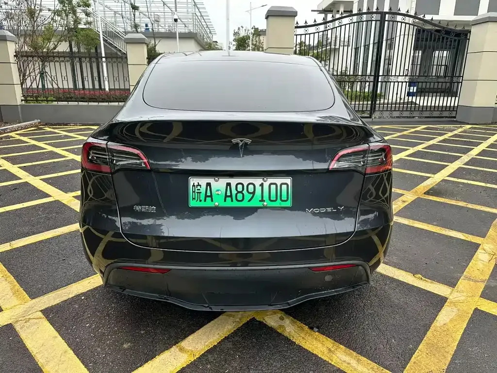 Tesla Model Y 2024 из CN, фото 7