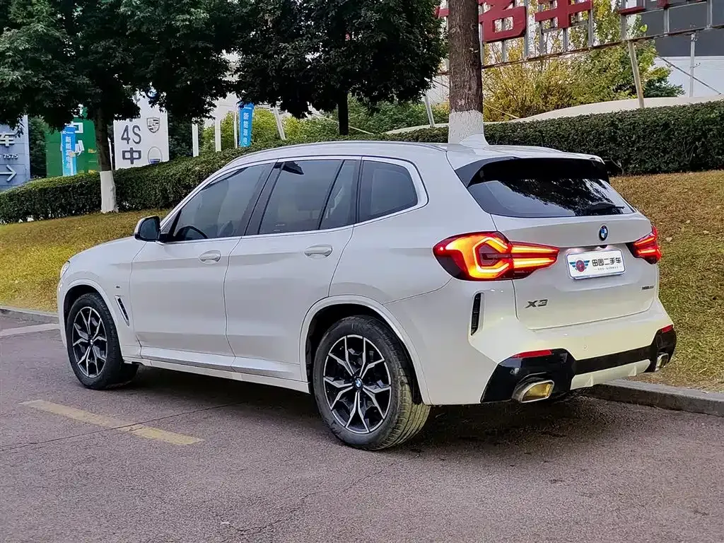 BMW X3 2023 из CN, фото 6