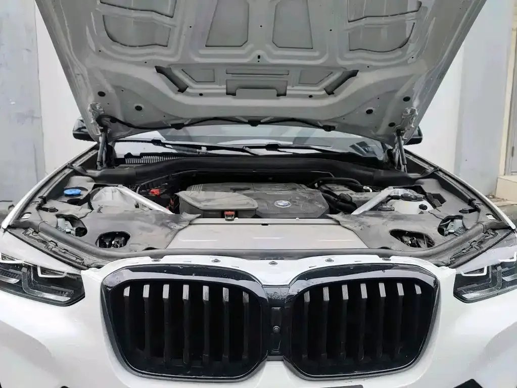 BMW X3 2023 из CN, фото 10