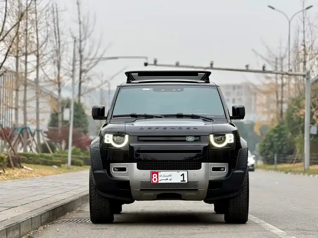 Land Rover Defender 2021 из CN, фото 3